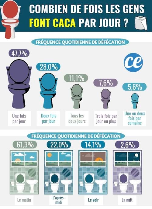 Fréquence de caca par jour 