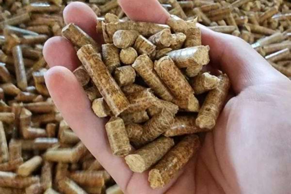 Granulés de bois tenus en main.