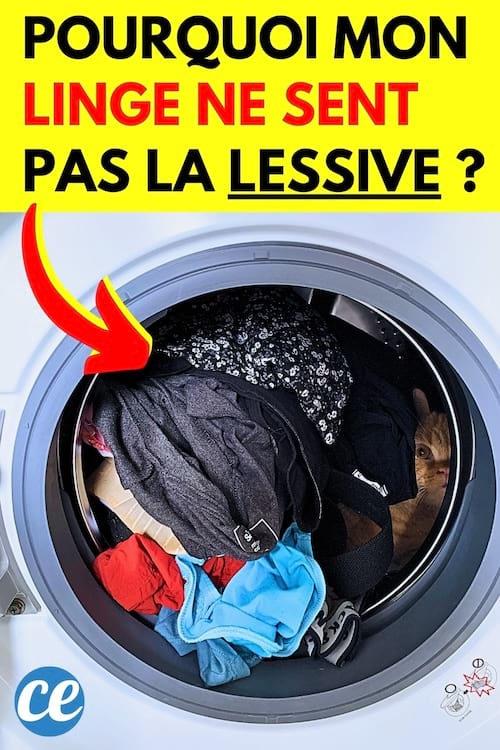 Du linge qui ne sent pas la lessive après un lavage en machine à laver