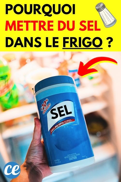 une salière pour mettre du sel dans le réfrigérateur