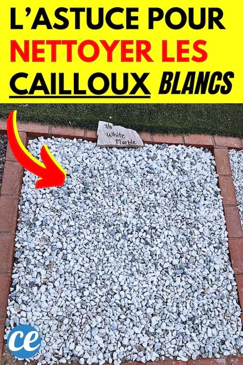 Des cailloux blancs qui sont sales et qui ont besoin d'être blanchis
