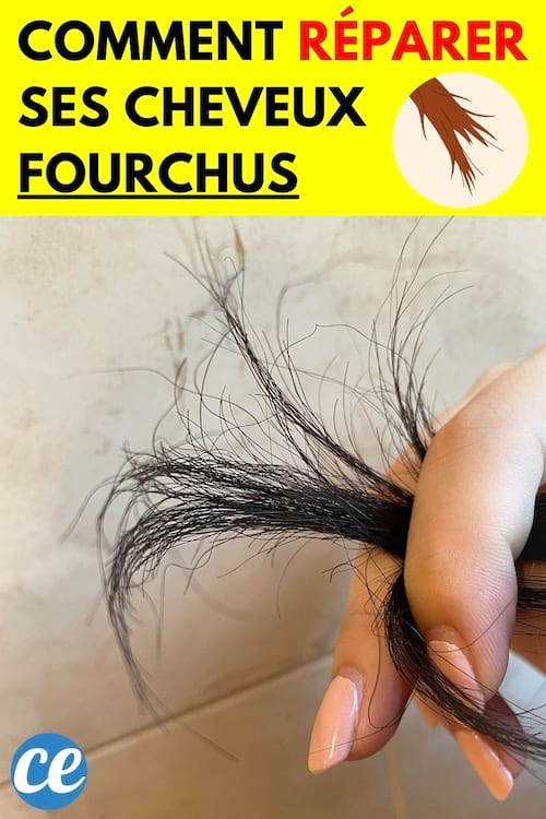 Pointe de cheveux noir fourchues