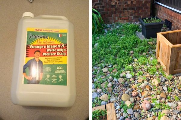 Comment Nettoyer Des Cailloux Blancs Extérieurs Comment Nettoyer les Cailloux Blancs de votre Jardin