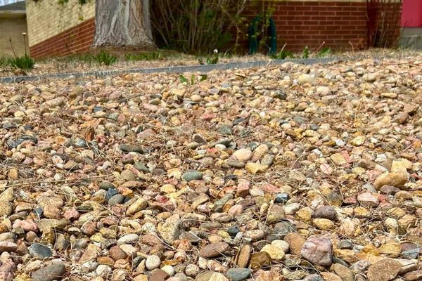 Comment Nettoyer Des Cailloux Blanc Extérieur Comment Nettoyer les Cailloux Blancs de votre Jardin