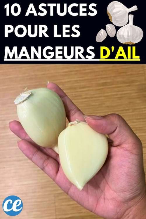 Des gros morceaux d'ail dans une main