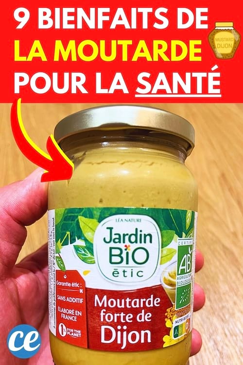 Un pot de moutarde de Dijon qui a des bienfaits pour la santé