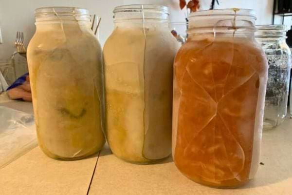 bocaux avec liquide congele