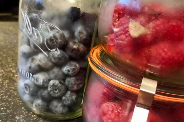 bocaux de fruits congelees.