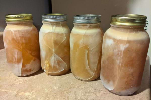  Bocaux de liquide gelee