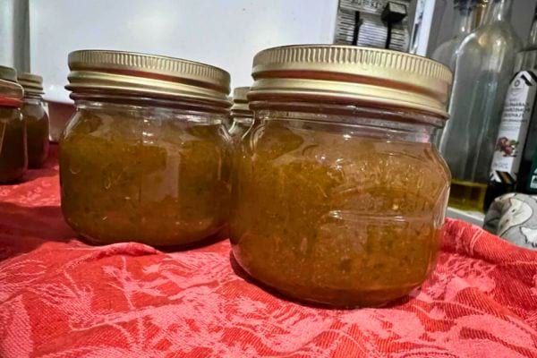 bocaux de sauce congelee