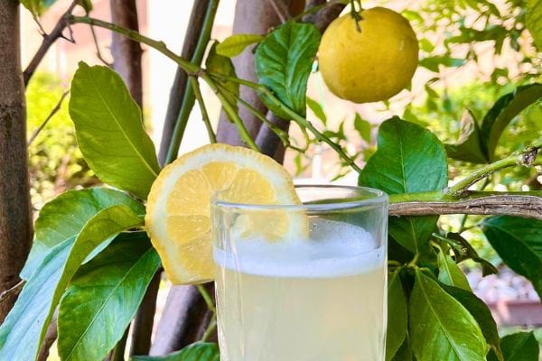 Bouteilles en verre remplies de jus de citron.