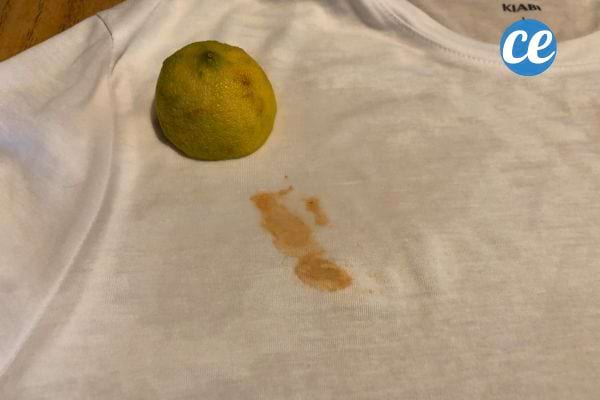 Citron posé sur une tache de ketchup sur un tissu blanc.