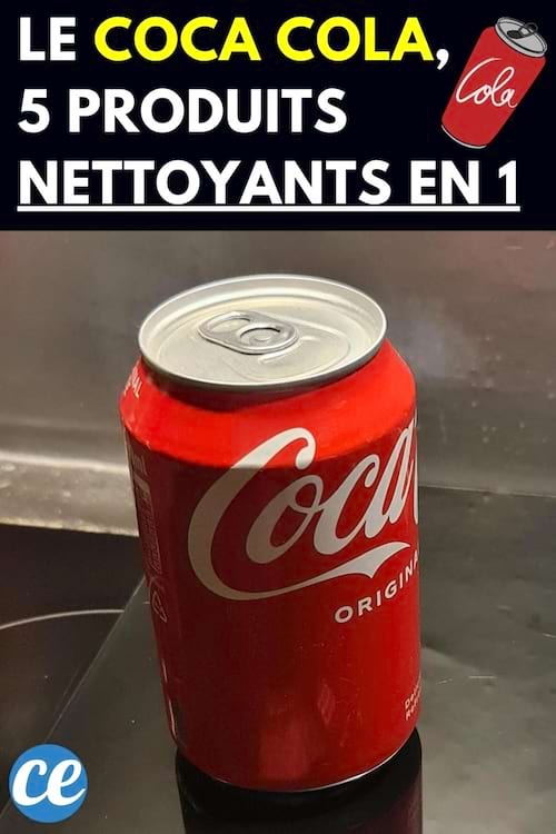 Une canette de Coca-Cola