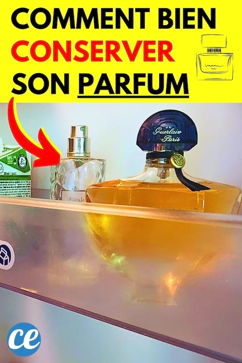Du parfum dans le frigidaire pour le conserver plus longtemps