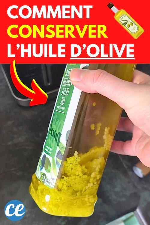 Une bouteille d'huile d'olive bien conserver grâce à mes astuces