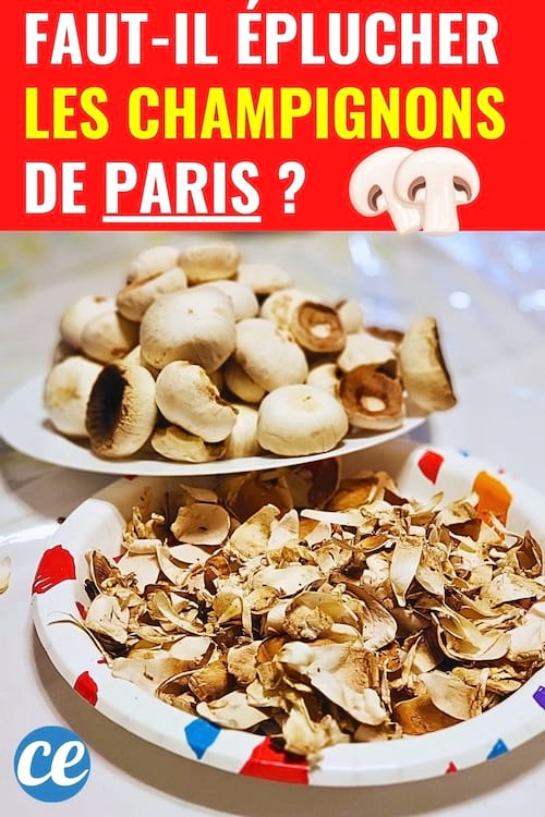 Fautil Éplucher les Champignons de Paris Avant de les Manger