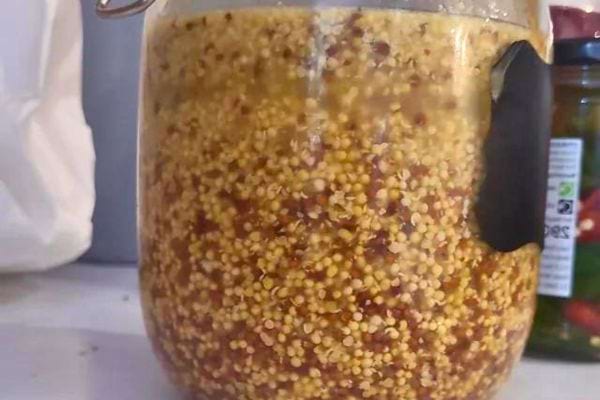 Graines de moutarde trempées dans un pot en verre.