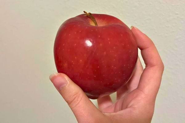 Une autre grosse pomme rouge est tenue en main.