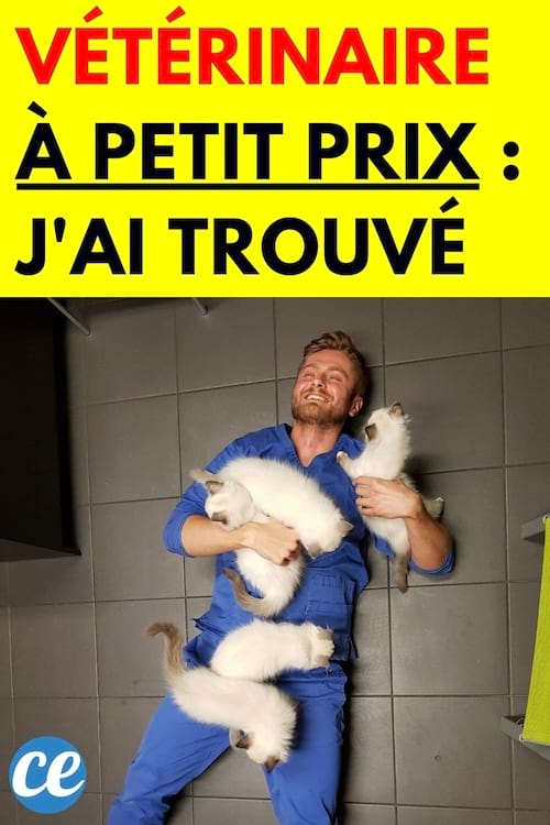 Un homme avec des petis animaux mignons