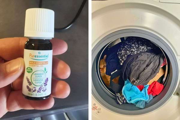Huile essentielle de lavande et linge dans le lave-linge.
