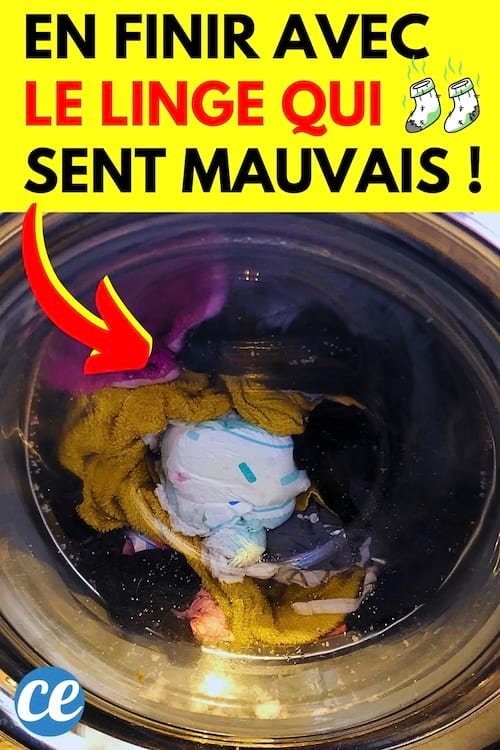 Du linge dans la machine à laver qui sent mauvais après le lavage