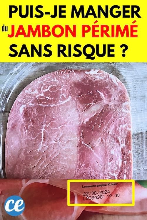Du jambon périmé qui était dans mon frigo et que j'ai mangé