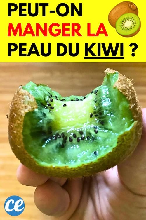 Un kiwi dans la main qui a été mangé avec la peau
