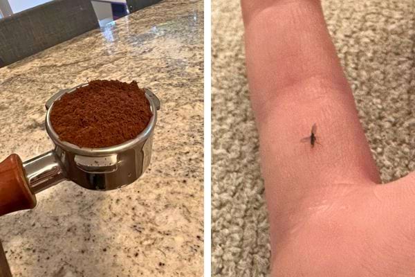 Porte-filtre rempli de marc de café, moucheron sur un doigt.