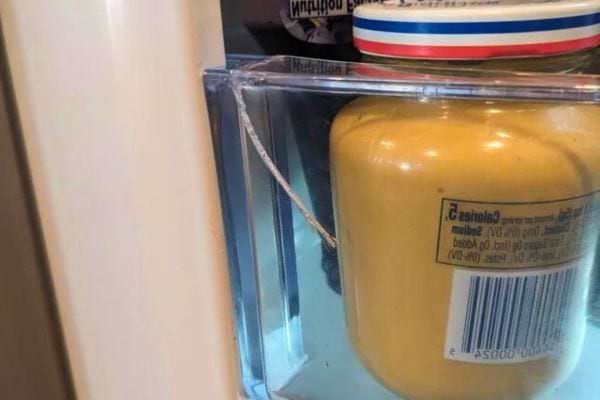 Pot de moutarde dans la porte d’un frigo.