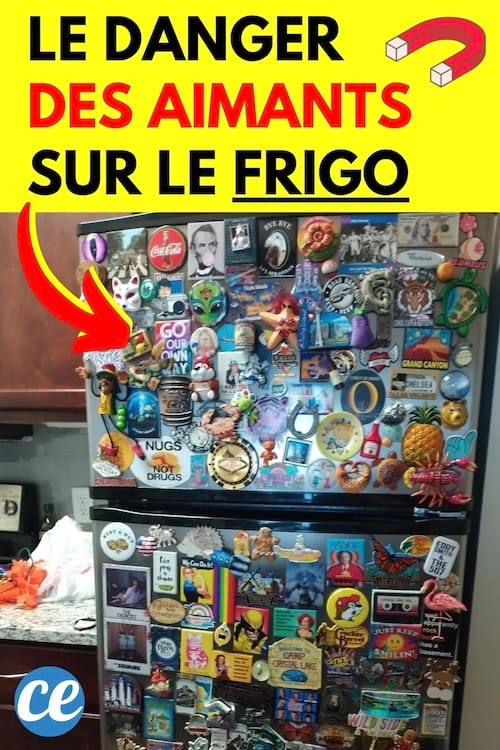 Des aimants sur le frigo qui sont dangereux pour le fonctionnement