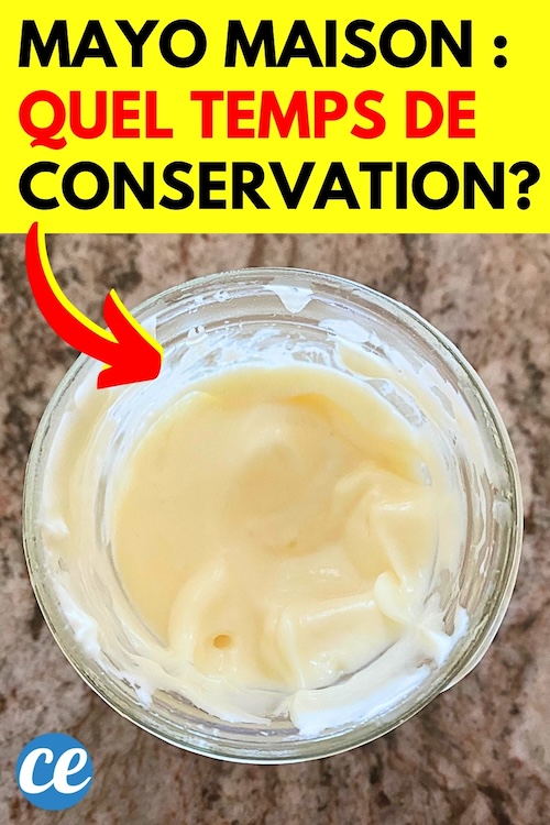 Mayonnaise Maison Combien de Temps la Conserver Sans Risque