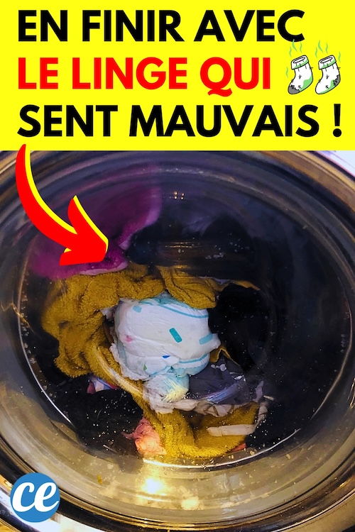 Linge Qui Sent Mauvais 13 Astuces pour Éliminer les Odeurs.