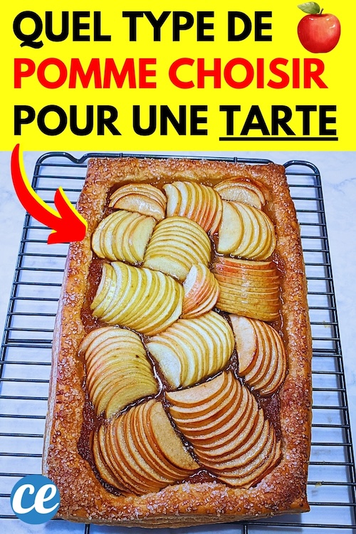 Quelles Pommes Choisir pour Faire une Tarte Délicieuse