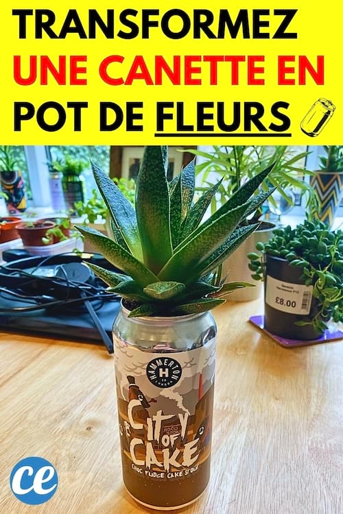Une canette de soda qui a été transformé en pot de fleurs DIY