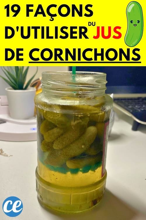 Pot de cornichon
