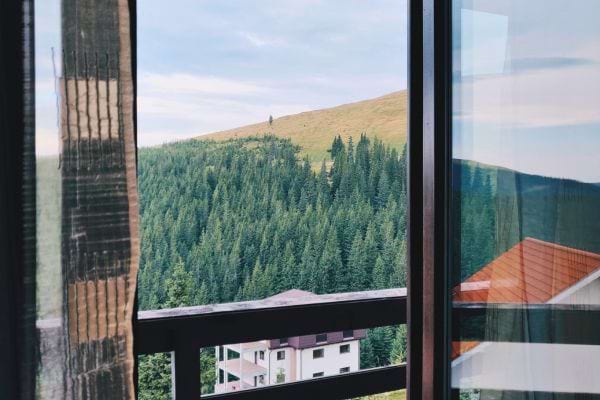 Vue sur une forêt par une fenêtre ouverte, air pur.