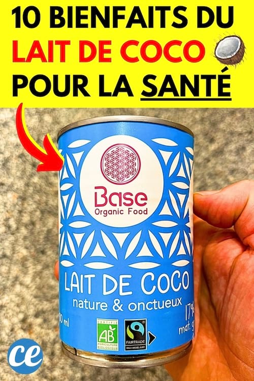 Une brique de lait de coco bio de chez Carrefour avec plein de bienfaits