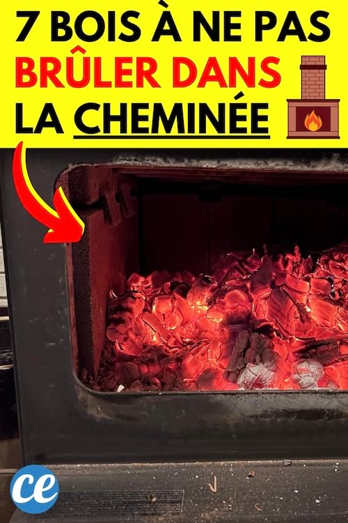 Du bois dans une cheminée à ne pas brûler car il contient des substances chimiques 