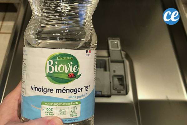 Bouteille de vinaigre ménager tenue devant un lave-vaisselle.