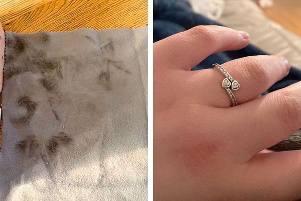 Chiffon gris taché à côté d'une main portant une bague Pandora.