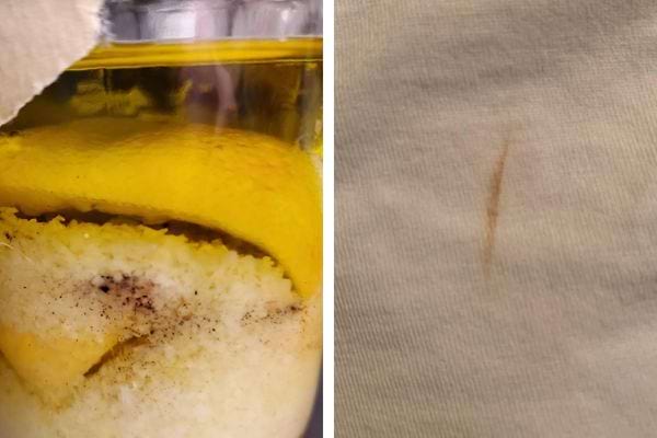 Citron conservé et tache brune sur du tissu.