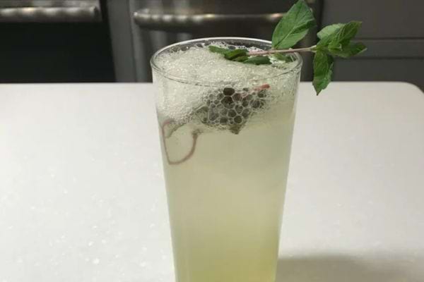 Citronnade avec menthe fraîche.