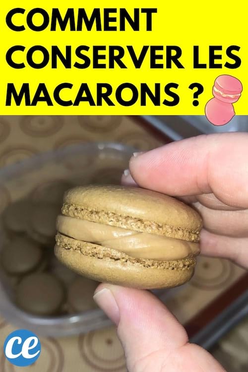 Une personne tenant un macaron marron avec plusieurs autres macarons marrons dans une boîte 