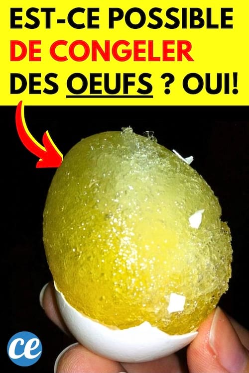 Un oeuf dans la main qui a été congelé avec des morceaux de coquilles