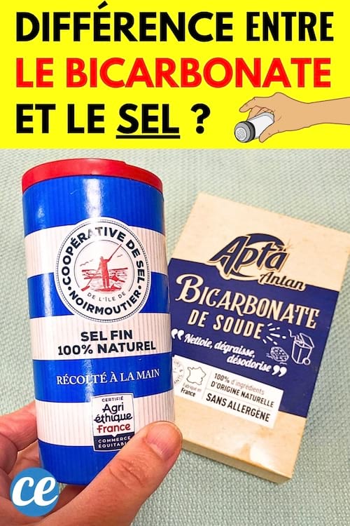Un flacon de sel et une boîte de bicarbonate de soude qui ont des différences