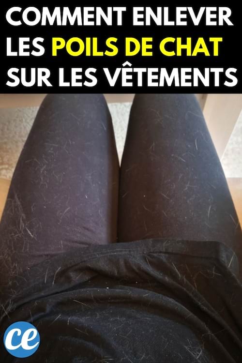 Des poils de chat sur un legging et tee-shirt noir