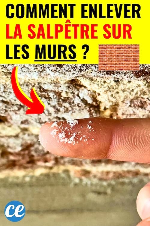 De la salpêtre sur un doigt qui a touché un mur blanc avant