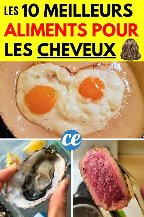 Des oeufs, de la viande de boeuf et des huîtres à manger pour les cheveux