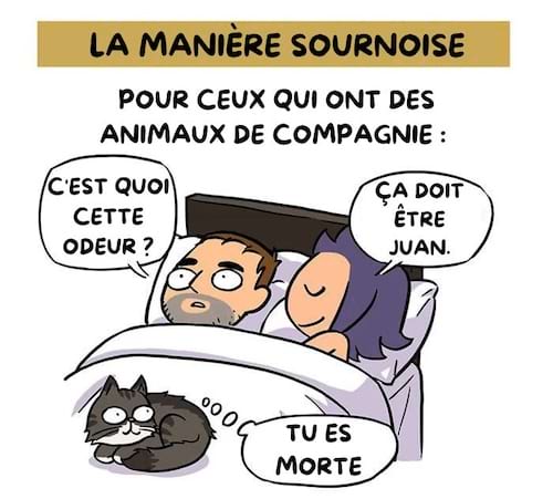 Une femme blâme l'odeur d'un pet sur le chat du couple, Juan.