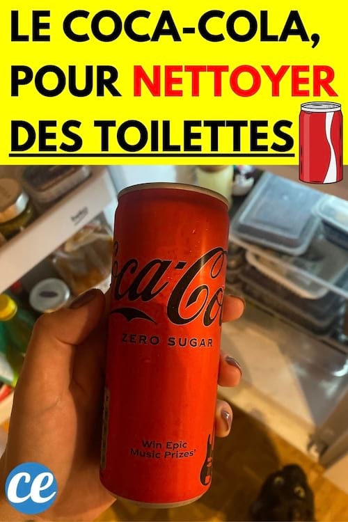 Coca-Cola dans une main devant un frigo